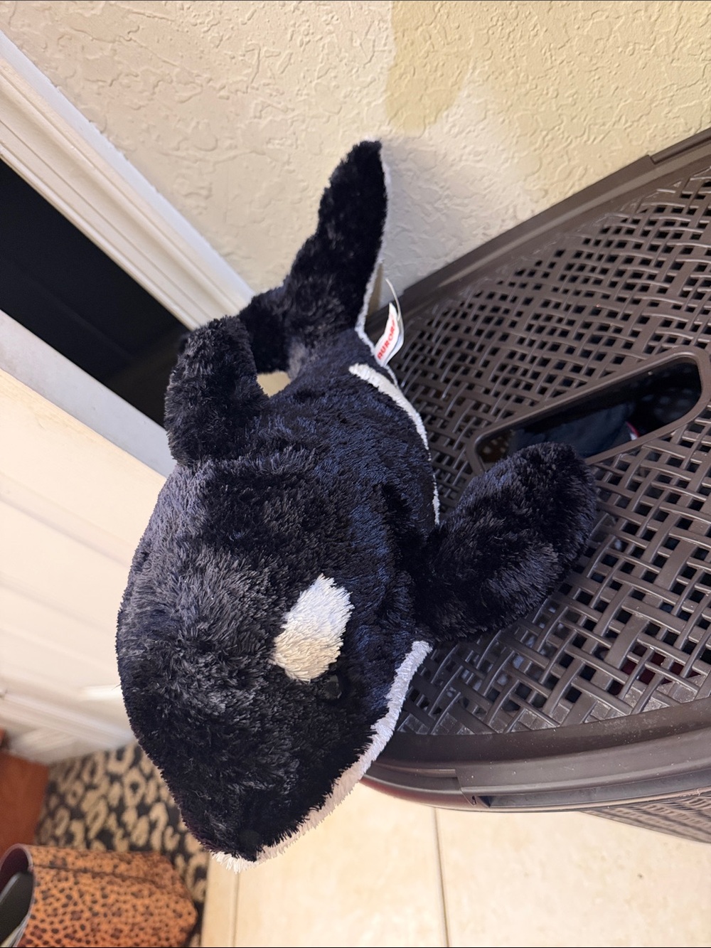 Plush Orca Pet Toy - Black and White